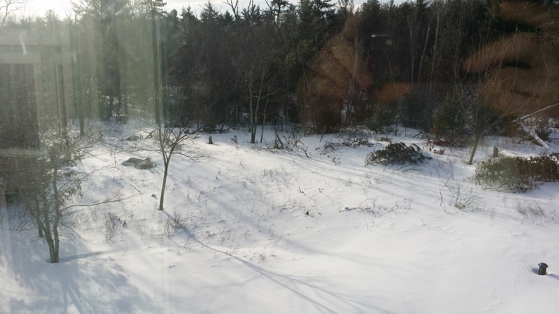 2015 New England Winter in East Freetown, MA